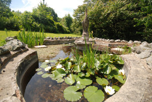 pond